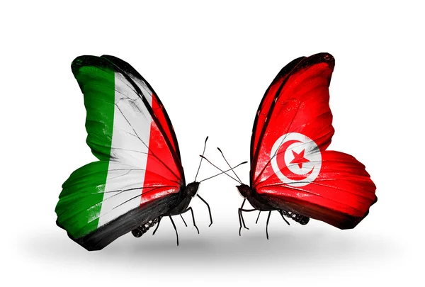 Two butterflies with flags on wings as symbol of relations Italy and Tunisia — Stock Photo, Image