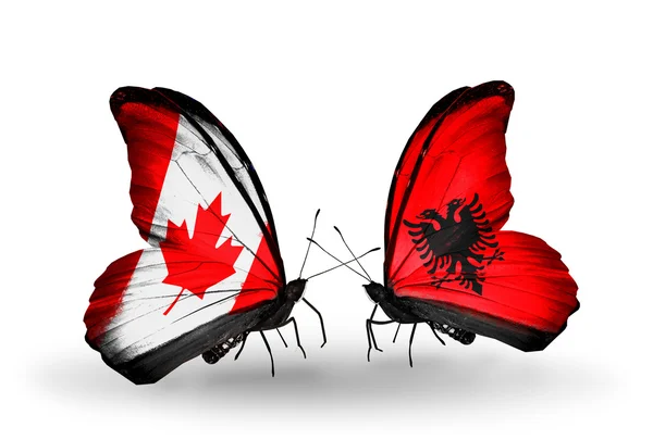 Две бабочки с флагами на крыльях как символ отношений Канады и Албании — стоковое фото