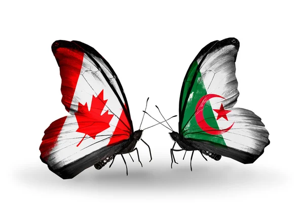 Dva motýli s příznaky na křídlech jako symbol vztahů, Kanada a Alžírsko — Stock fotografie