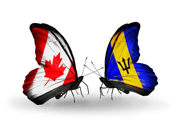 Dwa motyle z flagami na skrzydłach jako symbol stosunków, Kanada i Barbadosu — Zdjęcie stockowe