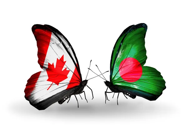 Deux papillons avec des drapeaux sur les ailes comme symbole des relations Canada-Bangladesh — Photo