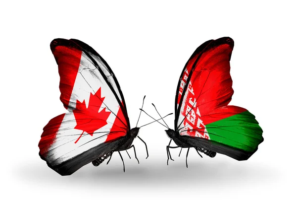 Två fjärilar med flaggor på vingarna som symbol för förbindelserna mellan Kanada och Vitryssland — Stockfoto