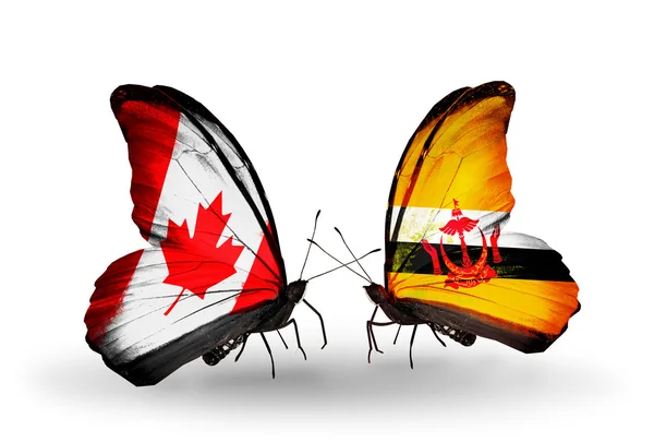 Zwei Schmetterlinge mit Flaggen auf Flügeln als Symbol der Beziehungen zwischen Kanada und Brunei — Stockfoto