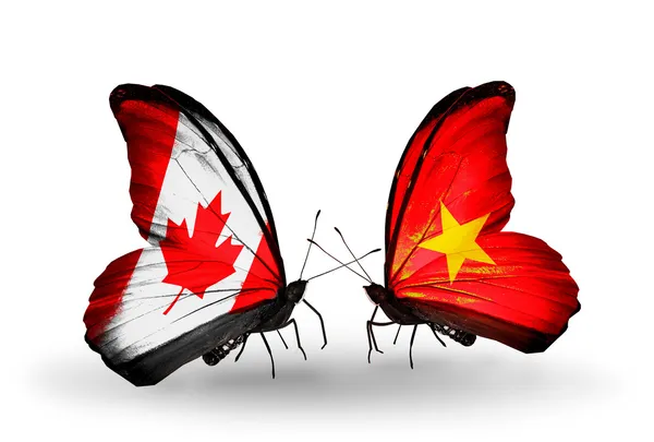 Dva motýli s příznaky na křídlech jako symbol vztahů, Kanada a Vietnamu — Stock fotografie