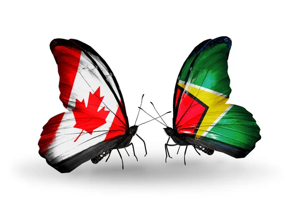 Två fjärilar med flaggor på vingarna som symbol för förbindelserna mellan Kanada och guyana — Stockfoto