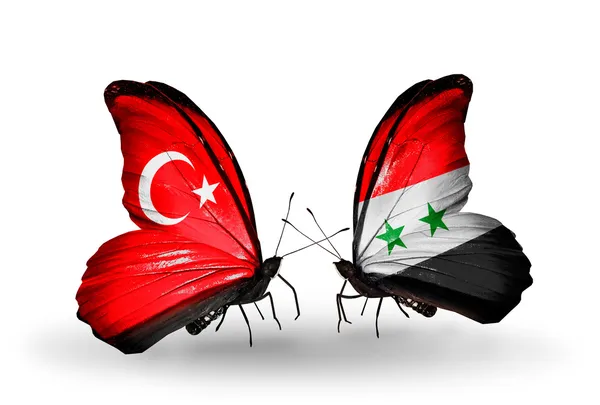 Dwa motyle z flagami na skrzydłach jako symbol stosunki Turcja i syria — Zdjęcie stockowe