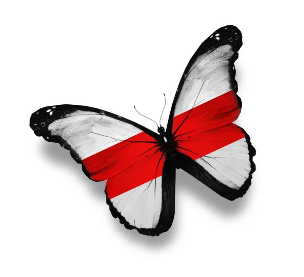 Motyl flaga Białorusi, na białym tle — Zdjęcie stockowe