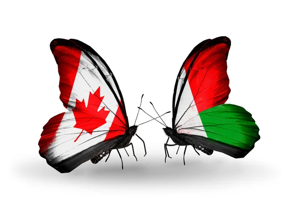 Dva motýli s příznaky na křídlech jako symbol vztahů, Kanada a Madagaskaru — Stockfoto