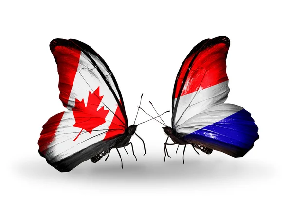 Deux papillons avec des drapeaux sur les ailes comme symbole des relations Canada-Hollande — Photo