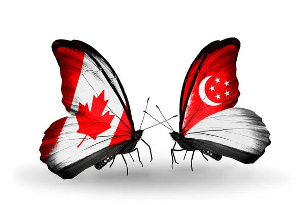 Due farfalle con bandiere sulle ali come simbolo delle relazioni Canada e Singapore — Foto Stock