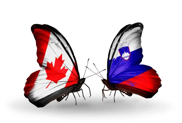 Två fjärilar med flaggor på vingarna som symbol för förbindelserna mellan Kanada och Slovenien — Stockfoto
