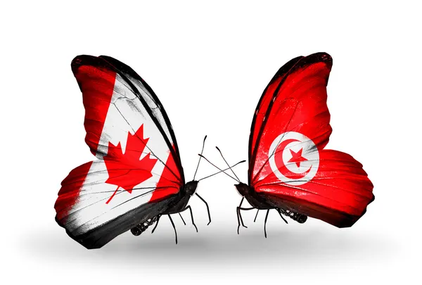 Dva motýli s příznaky na křídlech jako symbol vztahů, Kanada a Tuniska — Stock fotografie