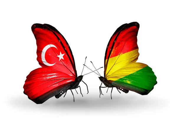 関係のトルコおよびボリビアの記号として翼上のフラグを持つ 2 つの蝶 — ストック写真