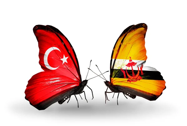 Two butterflies with flags on wings as symbol of relations Turkey and Brunei — Stock Photo, Image