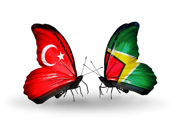 Two butterflies with flags on wings as symbol of relations Turkey and Guyana — Stock Photo, Image