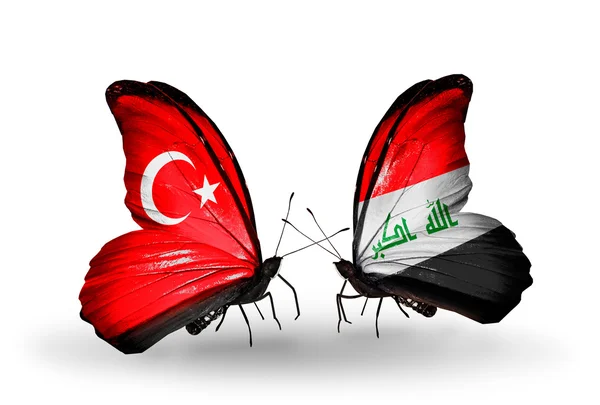 関係のトルコおよびイラクの記号として翼上のフラグを持つ 2 つの蝶 — ストック写真
