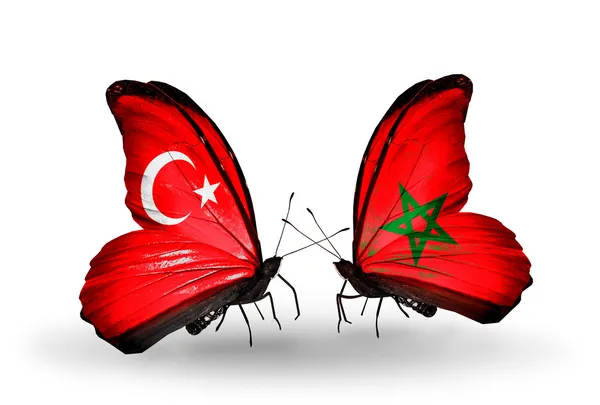 Deux papillons avec des drapeaux sur les ailes comme symbole des relations Turquie et Maroc — Photo