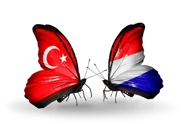 Dva motýli s příznaky na křídlech jako symbol vztahy Turecka a Holandska — Stock fotografie