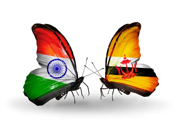Две бабочки с флагами на крыльях как символ отношений Индии и Брунея — стоковое фото