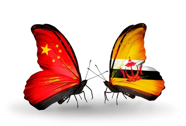 Two butterflies with flags on wings as symbol of relations China and Brunei — Stockfoto