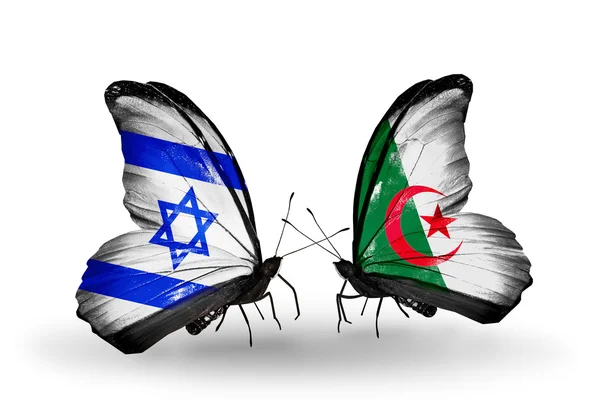 Due farfalle con bandiere sulle ali come simbolo delle relazioni Israele e Algeria — Foto Stock