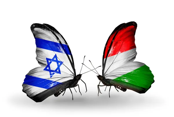 stock image Two butterflies with flags on wings as symbol of relations Israel and Hungary