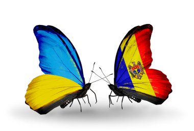 iki kelebek kanatları ilişkileri Ukrayna ve moldova sembolü olarak bayrakları ile