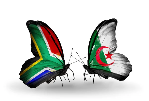Две бабочки с флагами на крыльях как символ отношений ЮАР и Алжира — стоковое фото
