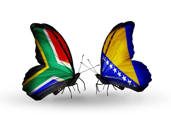 Dos mariposas con banderas en las alas como símbolo de las relaciones Sudáfrica y Bosnia y Herzegovina — Foto de Stock