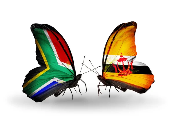 Two butterflies with flags on wings as symbol of relations South Africa and Brunei — Stock Photo, Image