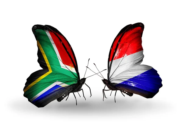 Due farfalle con bandiere sulle ali come simbolo delle relazioni Sud Africa e Olanda — Foto Stock