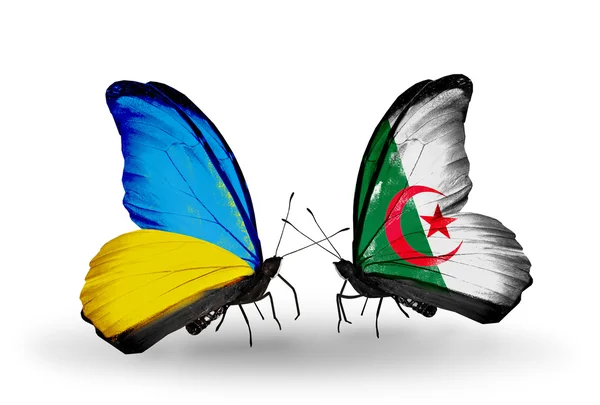 Two butterflies with flags on wings as symbol of relations Ukraine and Algeria — Stock Photo, Image