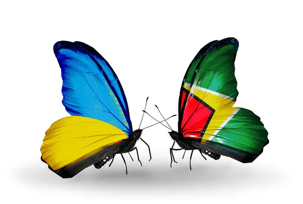 Dva motýli s příznaky na křídlech jako symbol vztahů, Ukrajina a guyana — Stock fotografie