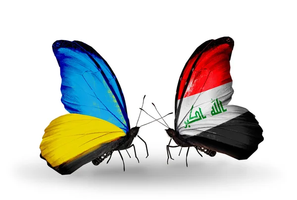 Two butterflies with flags on wings as symbol of relations Ukraine and Iraq — Stock Photo, Image