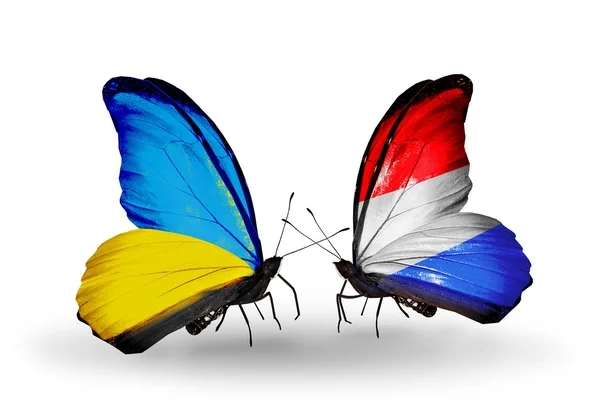 Dwa motyle z flagami na skrzydłach jako symbol stosunków Ukrainy i Luksemburg — Zdjęcie stockowe