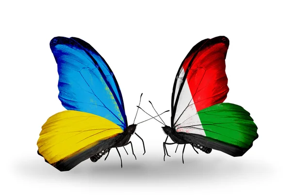 Two butterflies with flags on wings as symbol of relations Ukraine and Madagascar — Stock Photo, Image