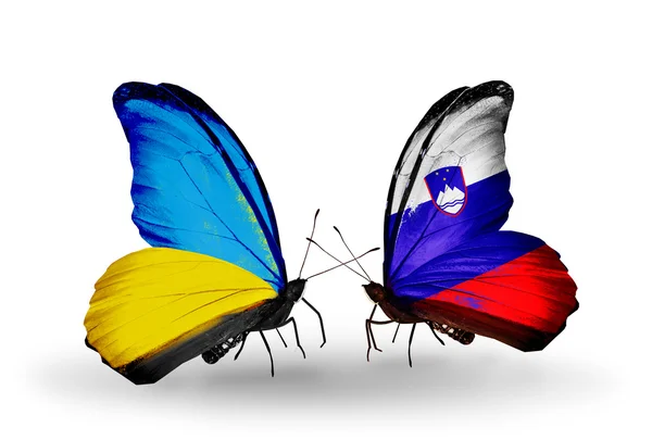 Two butterflies with flags on wings as symbol of relations Ukraine and Slovenia — Stock Photo, Image