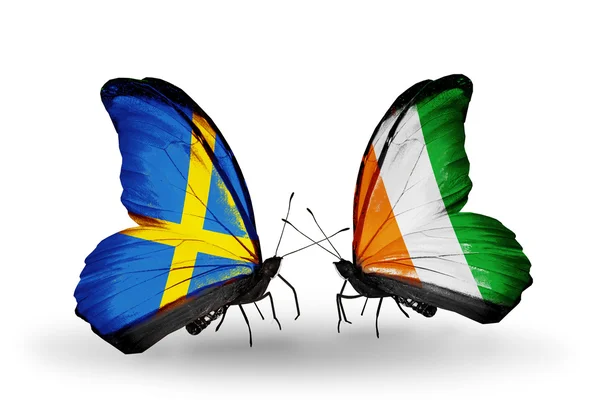 Dwa motyle z flagami na skrzydło symbol stosunki Szwecji i Wybrzeże Kości Słoniowej wyspa — Zdjęcie stockowe