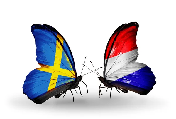 Two butterflies with flags on wings as symbol of relations Sweden and Holland — Stock Photo, Image