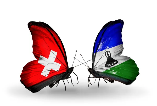 Two butterflies with flags of Switzerland and Lesotho on wings — Stock Photo, Image