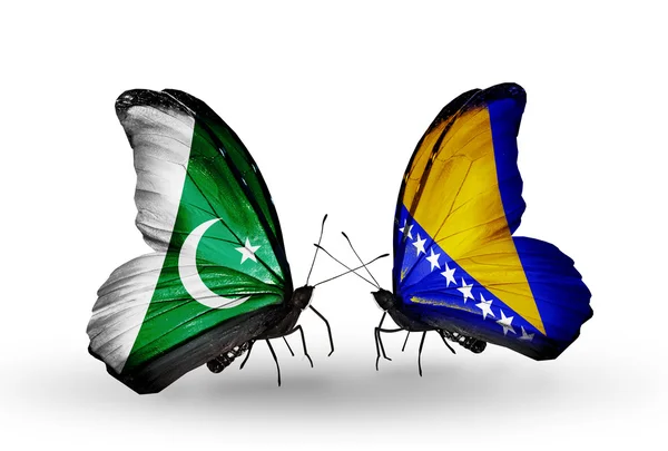 Duas borboletas com bandeiras de Paquistão e Bósnia e Herzegovina em asas — Fotografia de Stock