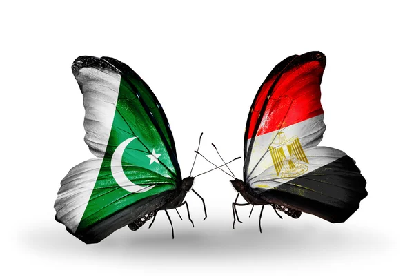 Iki kelebek kanatları üzerinde pakistan ve Mısır bayraklı — Stok fotoğraf