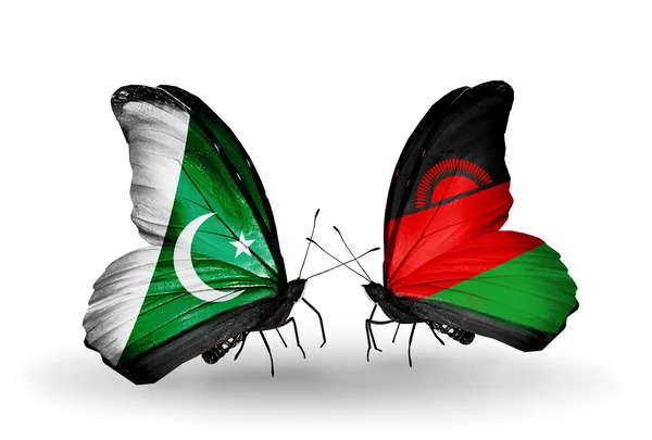 Deux papillons avec des drapeaux du Pakistan et du Malawi sur les ailes — Photo