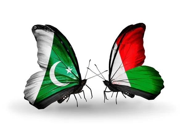 Deux papillons avec des drapeaux du Pakistan et de Madagascar sur les ailes — Photo