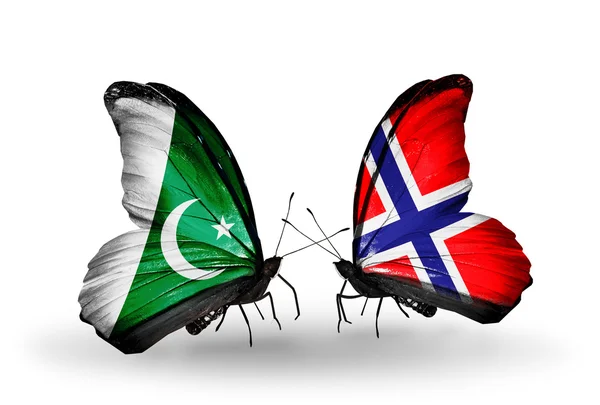 Two butterflies with flags of Pakistan and Norway on wings — Stock Photo, Image
