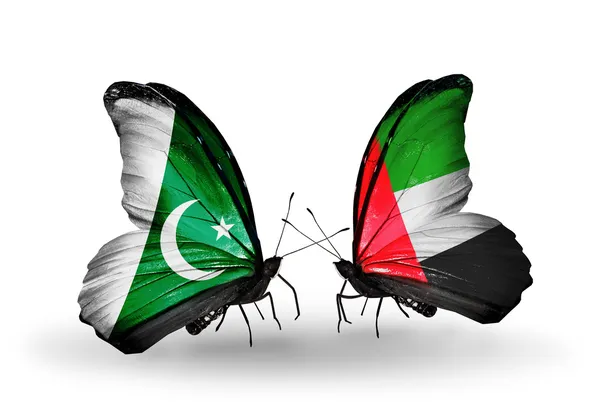 Dos mariposas con banderas de Pakistán y Emiratos Árabes Unidos en alas — Foto de Stock