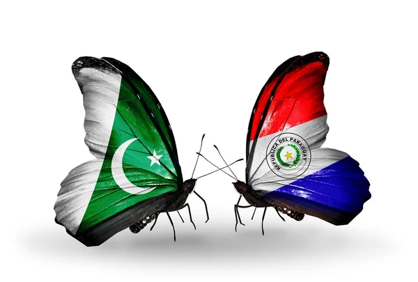 Deux papillons avec des drapeaux du Pakistan et du Paraguay sur les ailes — Photo