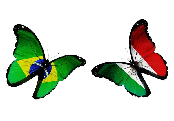 Two butterflies with Brazil and Mexico flags flying — Stock Photo, Image