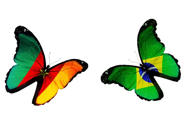 Dva motýli s Kamerun a Brazílie vlajky vlají — Stock fotografie