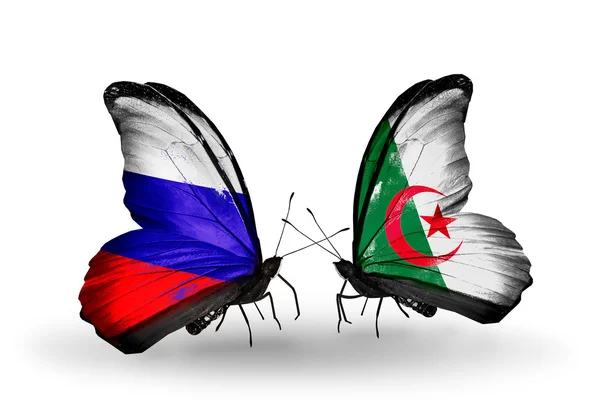 Two butterflies with flags of Russia and Algeria on wings — Stock Photo, Image